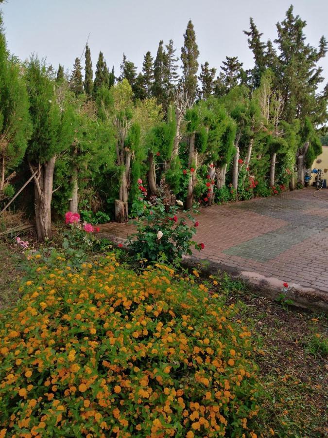 Appartamento In Orosei In Villa Delle Arance 300Mt Dalla Spiaggia Luaran gambar