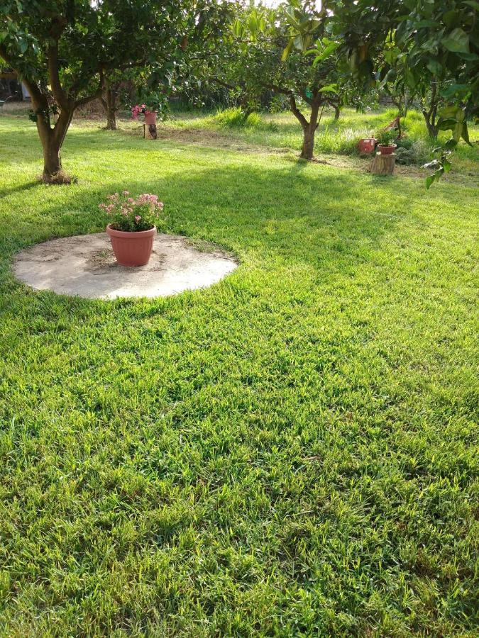 Appartamento In Orosei In Villa Delle Arance 300Mt Dalla Spiaggia Luaran gambar